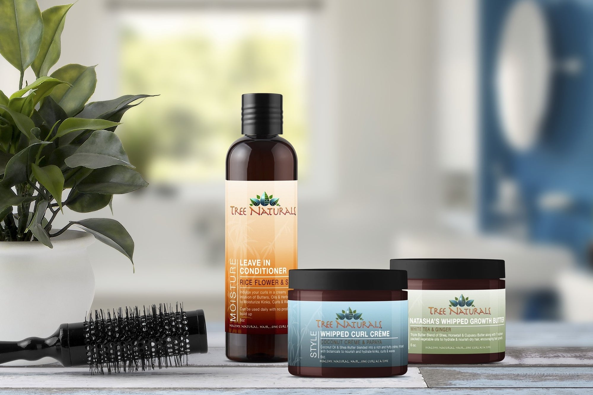 The Tree-O Bundle | Tree Naturals